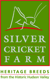 SIL01_CC_Logo_Final_PMS_Coated.jpg